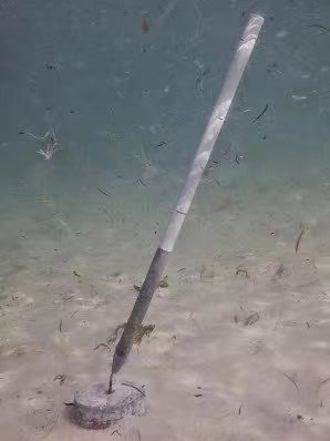 TCM-1倾斜海流计